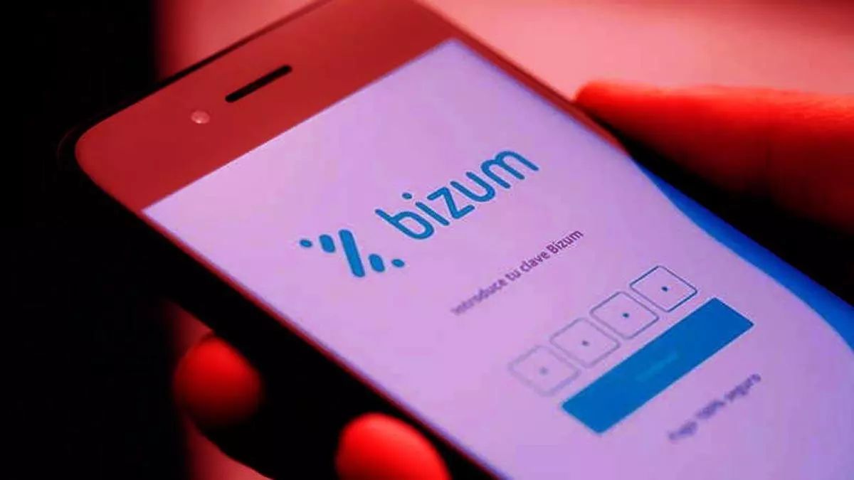 delitos bizum 3